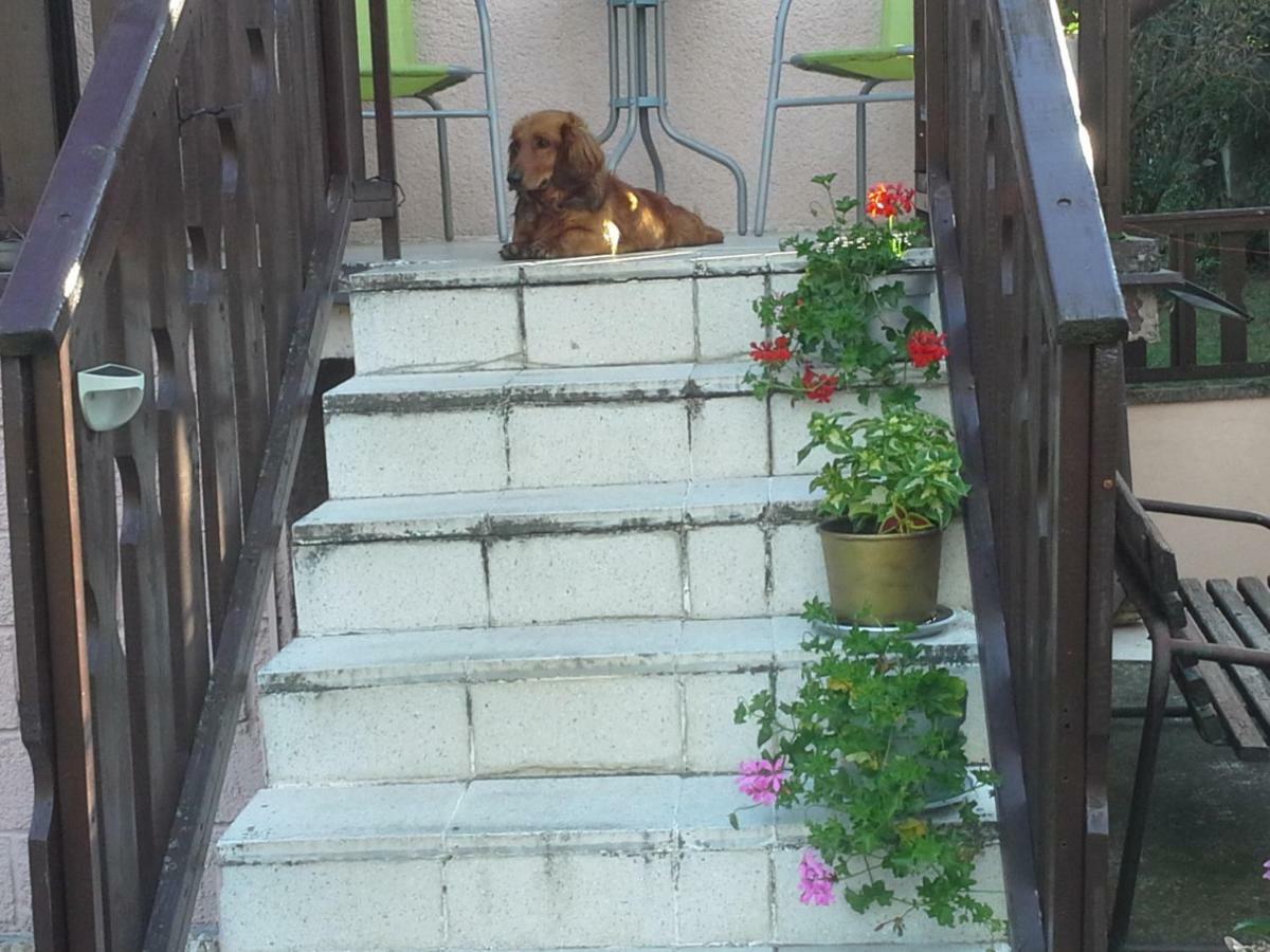 Apartamento Utulny Privat Veľký Meder Exterior foto